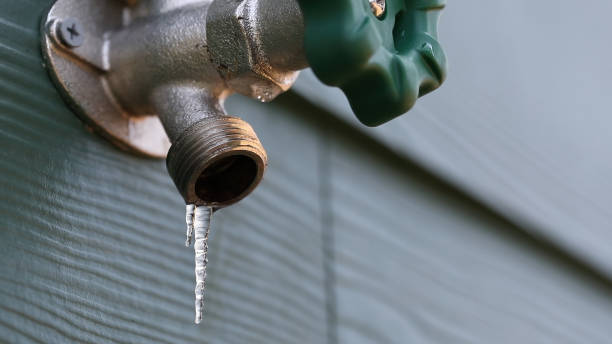 Best Plumbing Inspection Services  in Lake Andes, SD